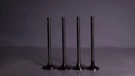 Generator Set Parts Intake Exhaust Valve Engine for Cummins K19